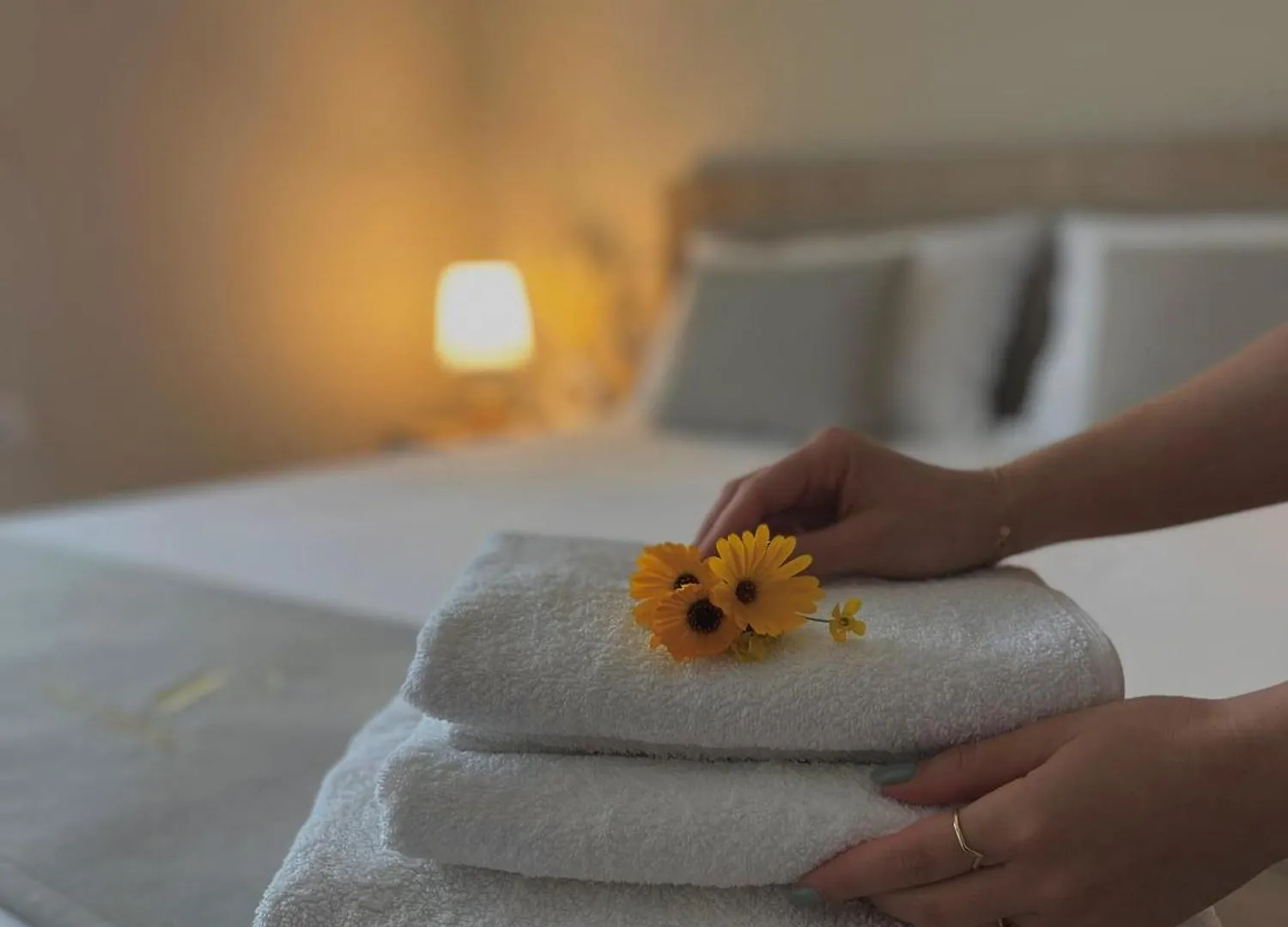 Bed & Breakfast Villa Tabaku Berat Albania