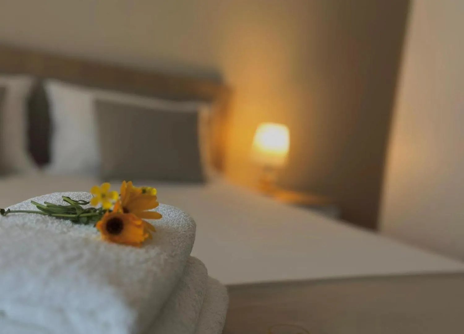 Villa Tabaku Berat Bed & Breakfast